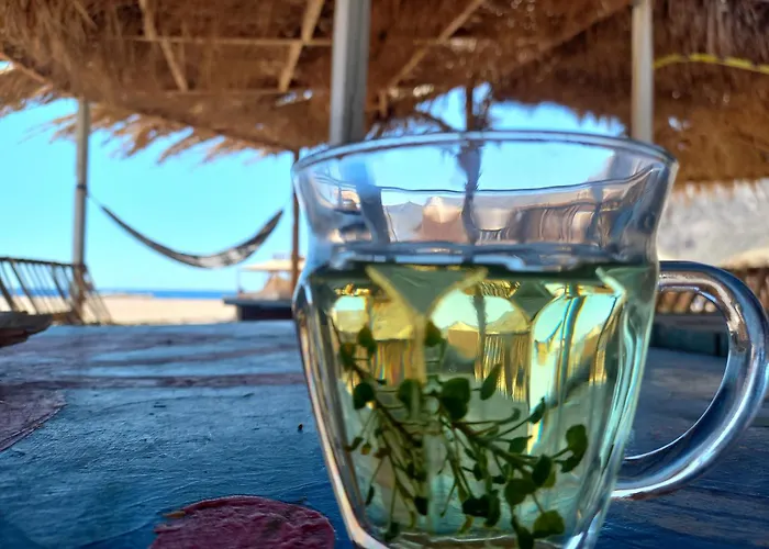 Al Jasmine Camp Dahab